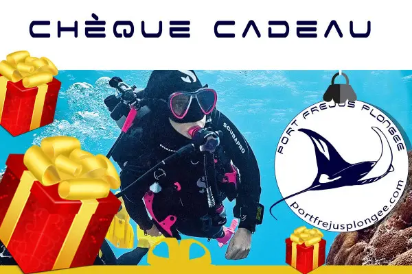 Chèque cadeau Port Fréjus Plongée