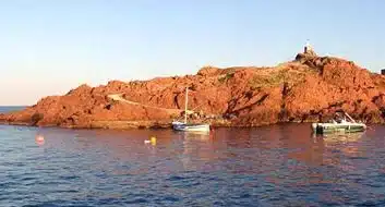 Lion de mer - Port Fréjus Plongée