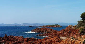 Lion de terre - Port Fréjus Plongée