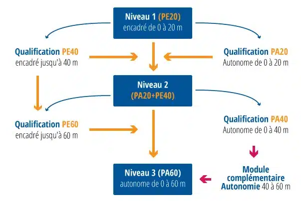 Niveaux de plongée FFESSM - Fréjus