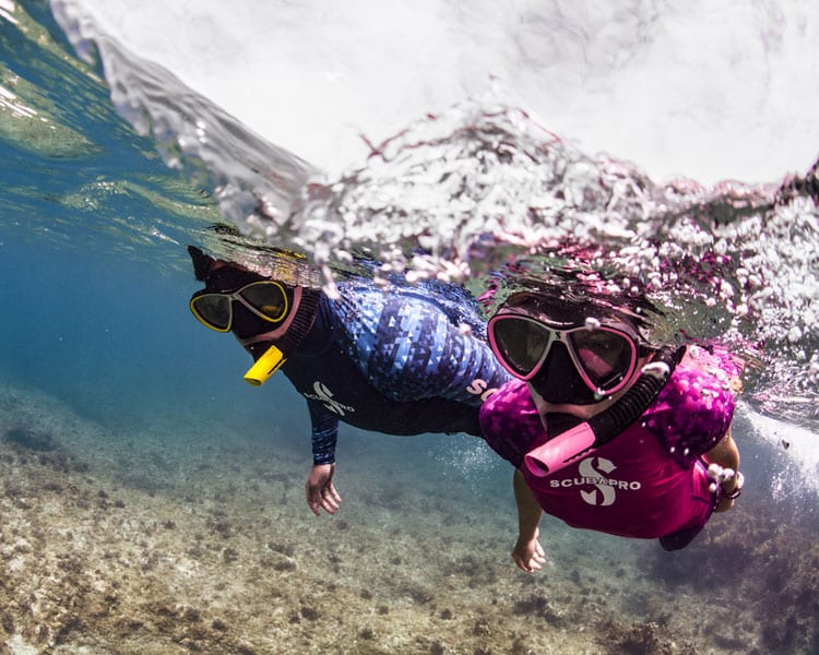 Snorkeling - Port Fréjus Plongée